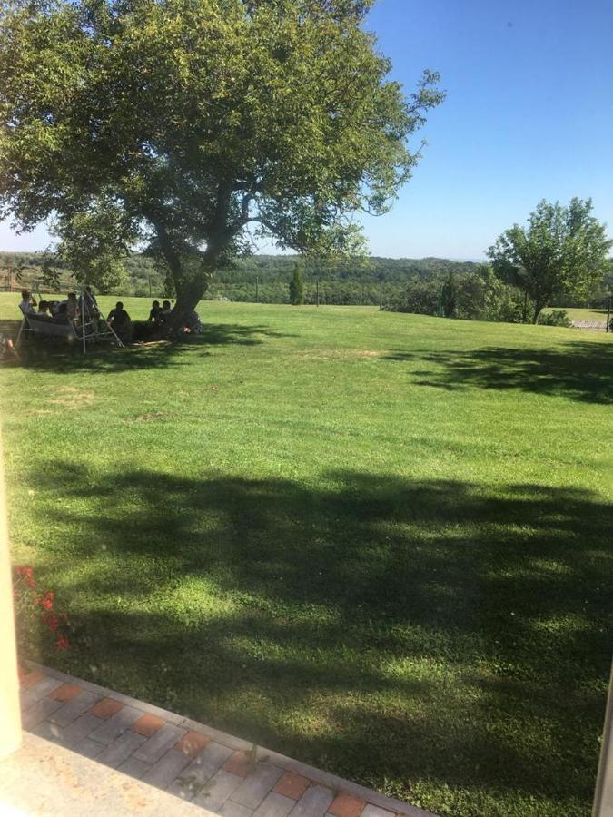 Vadaspuszta Vendeghaz Csatka Exterior foto