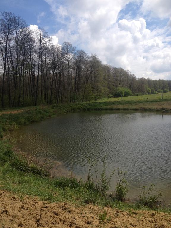 Vadaspuszta Vendeghaz Csatka Exterior foto